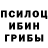 Псилоцибиновые грибы мухоморы SonnyY