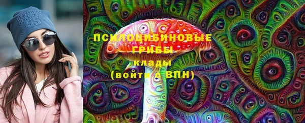 спайс Аркадак