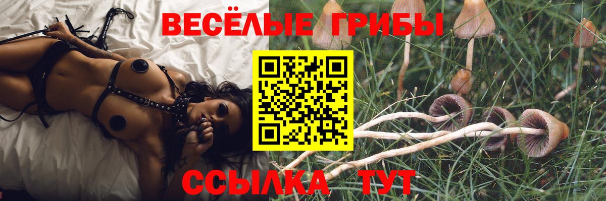 Псилоцибиновые грибы Magic Shrooms  Галлюциногенные грибы GOLDEN TEACHER  Ступино  Вход с VPN 